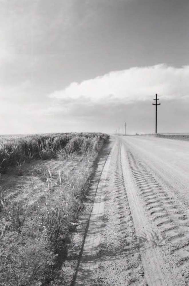 Amazon | Robert Adams: 27 Roads | Adams, Robert | Nature